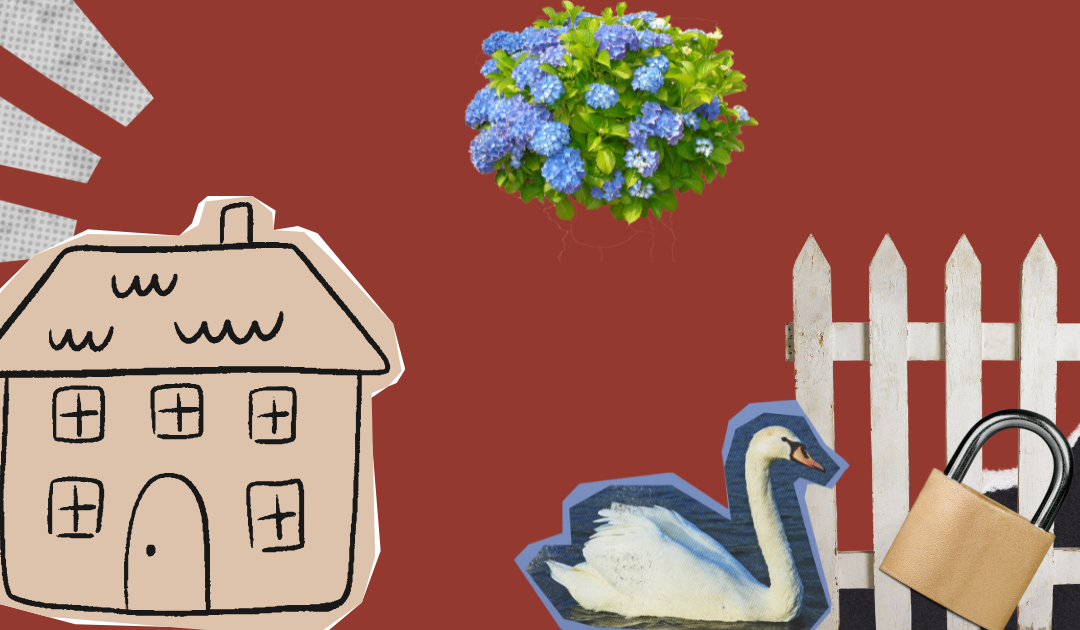 The Safe Harbor Money Personality: Protect Your Future Without Missing Out