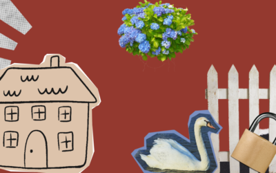 The Safe Harbor Money Personality: Protect Your Future Without Missing Out